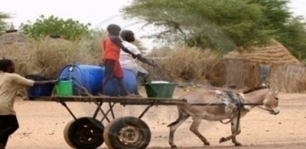 Linguère : Une fille de 12 ans meurt écrasée par un fût d’eau tombé d'une charrette