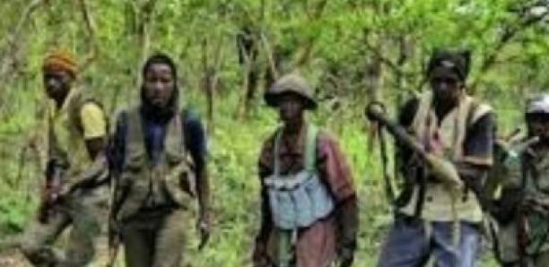 Oussouye : Un homme kidnappé par de rebelles