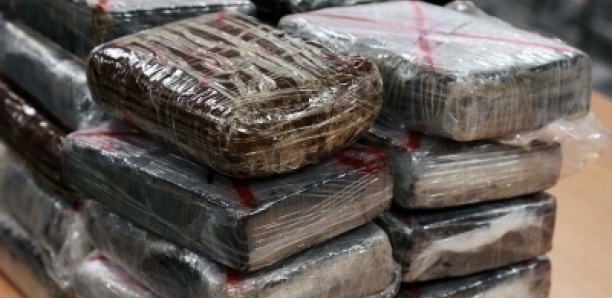 690 kg de cocaïne saisis à Saint-Louis: Le chef de cartel extradé en Espagne