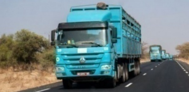 Tribunal de Dakar : un mécanicien prend deux mois de prison ferme pour avoir vendu le camion qu’il devait réparer