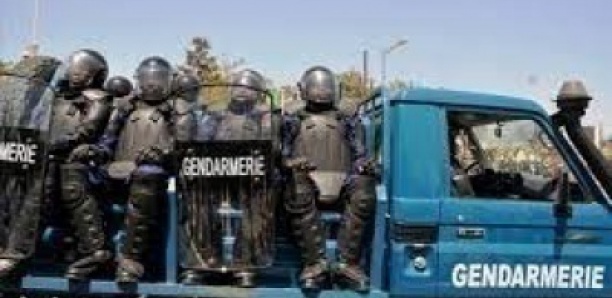 Cambriolage et vol de moutons de race : les gendarmes de Diogo cravatent quatre voleurs, deux autres en cavale