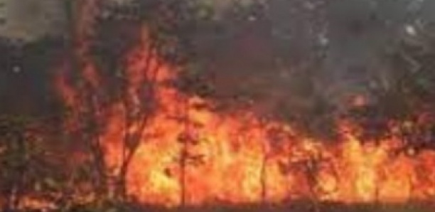 Commune de Ndindy : 3 incendies depuis samedi causant la mort d’un enfant