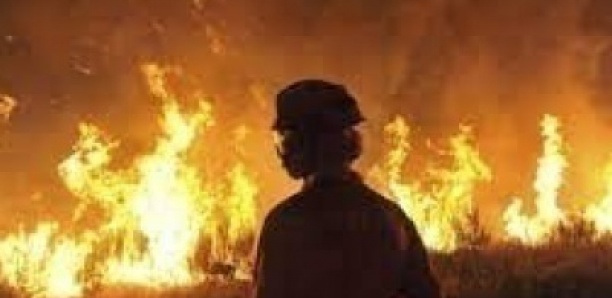 Drame à Bambey : Un père de 4 enfants se brûle au cimetière de Léona Nord…