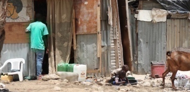 Cité imbécile (Cité Darou Salam), agression et banditisme, les habitants de la cité révèlent tout…