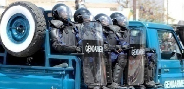 Grand banditisme : la gendarmerie interpelle 4 braconniers à Missirah Sirimanah