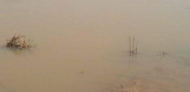 Drame dans la commune Kandiaye: Un vieillard s’est noyé au lac Waima de Saré Yéro Soudy