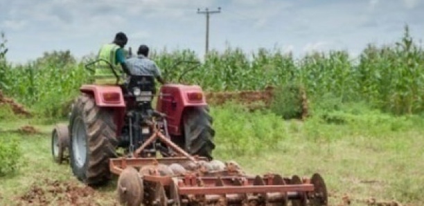 Keur Moussa : Une société immobilière met en sursis une exploitation agricole employant 1000 personnes