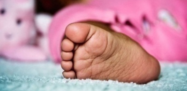 Découverte macabre à Kaffrine : le corps d'un nouveau-né abandonné dans un dépotoir d'ordures