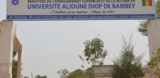 Escroquerie à Bambey : un étudiant arnaque ses camarades á hauteur de 29 millions de FCFA