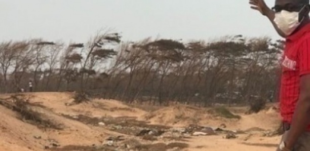 Annulation du décret de déclassement de la bande filaos de Guédiawaye : Des environnementalistes face à l’État du Sénégal