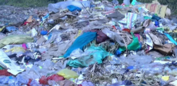 Lutte contre les déchets et protection de l’environnement : Kafountine prend date