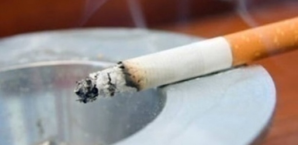 Taxation du Tabac : Le Sénégal encore loin des 70% recommandés par l’OMS