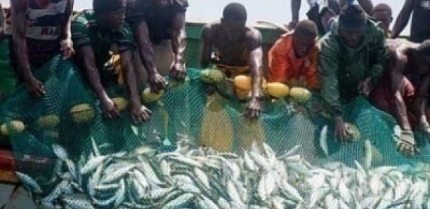 Secteur de la pêche : Le Sytrapas invite la tutelle à instaurer