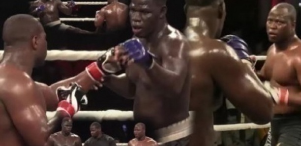 Souleymane Boun Daouda Diop : « Le MMA sera une menace si la lutte ne le contrôle pas »