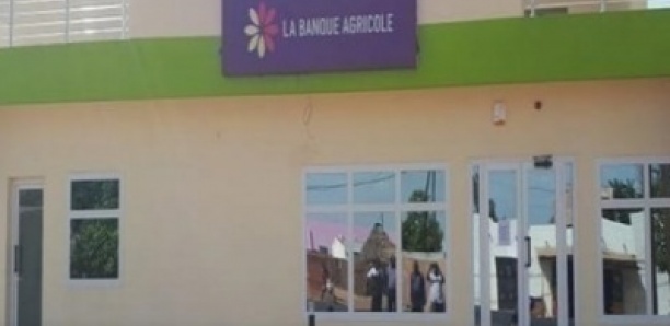 Détournement de 1,2 milliard F CFA : l’escroc et son épouse partis aux États-Unis, la Banque agricole traque les complices