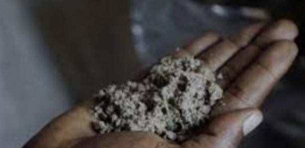 Kush : Ce qu’on sait de cette drogue qui fait fureur à Dakar