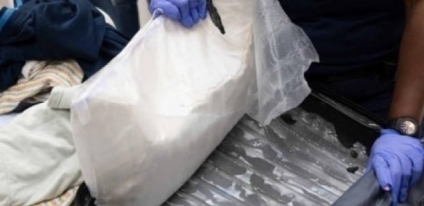 Trafic de cocaïne : un réseau démantelé entre Ouakam, Yoff et Ngor