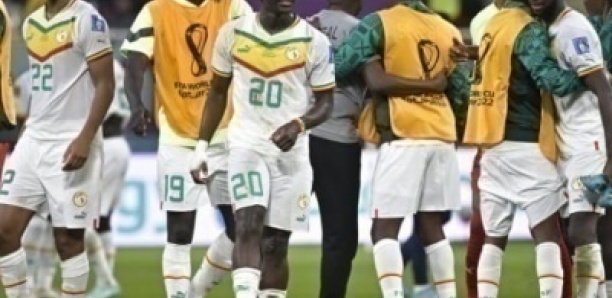 Saly : un Lion champion d’Afrique perd 135 millions F CFA dans deux projets en toc, son homme de confiance arrêté