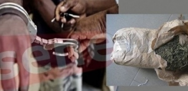 Diamaguene : un « gendarme » de l’anti-drogue arrêté pour usage de chanvre indien