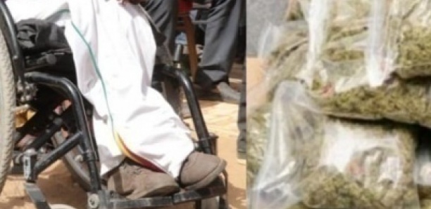 Trafic de drogue : le dealer utilisait son handicap comme couverture et le magal de son marabout comme alibi