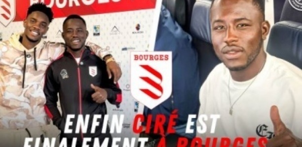 Enfin Ciré est parti à Bourges ! Le début d’une nouvelle vie