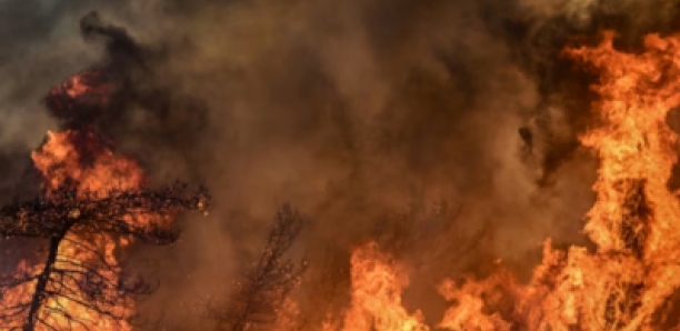 Incendie volontaire à Mbane: Une case détruite et des installations électriques endommagées, l’auteur présumé en fuite