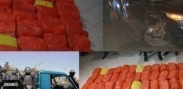 Tentative de meurtre à Mbour : Un dealer transportant 50 kg de drogue fonce sur des gendarmes avec son véhicule