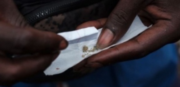 Rufisque : Un maçon de 25 ans arrêté avec 45 keppas de Kush à Santa Yalla