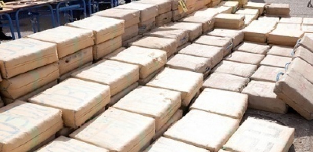 Saisie de drogues à Laâyoune (Maroc) : un sénégalais parmi les 14 individus interpellés