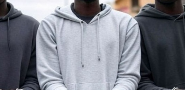 Cambriolage violent à Somone : Trois membres d’un gang arrêtés après le vol spectaculaire d’une bergerie