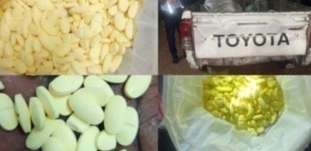 Ecstasy sur la route : Deux trafiquants arrêtés à Tambacounda avec 650 comprimés