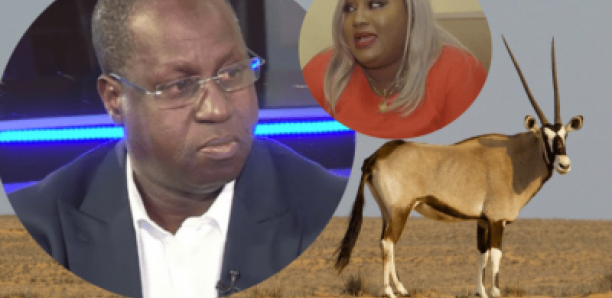 Aissatou Diop Fall: « Abdou Karim Sall dafa Yabaté »