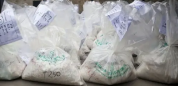 Trafic de cocaïne, blanchiment… : le film de la chute du «Capo» de Ouagou Niayes avec ses lieutenants dont quatre dames