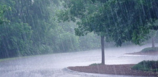 Météo : L’Anacim annonce des pluies et orages au Sénégal