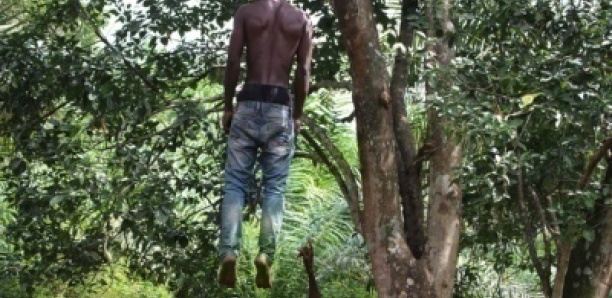 Guinguinéo / Drame à Diamwélé: Un malade mental retrouvé pendu à un arbre.