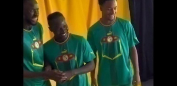 A mourir de rire : Séance de shooting des Lions avec le maillot extérieur pour le Mondial 2022