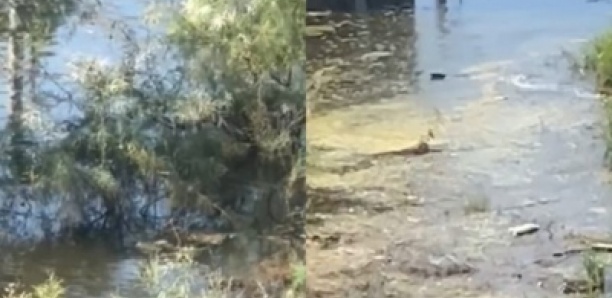 Drame à la Cité Nouvel Horizon: Un enfant de 12 ans emporté par les inondations