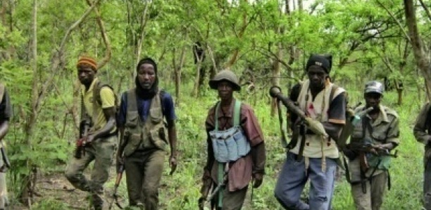 Casamance : les ex-rebelles du Mfdc réclament leurs financements, Demba Kandji saisi