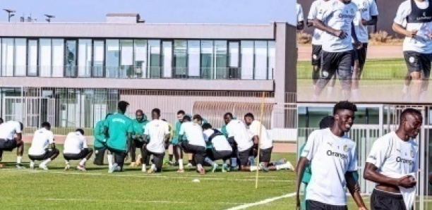 Mondial 2026 : où et quand suivre les entraînements des Lions