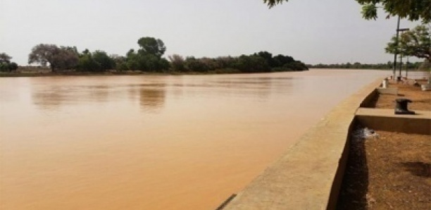Montée rapide des eaux : le Sénégal en état d’alerte fluviale