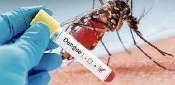 Saint-Louis: Des cas de dengue détectés dans la région