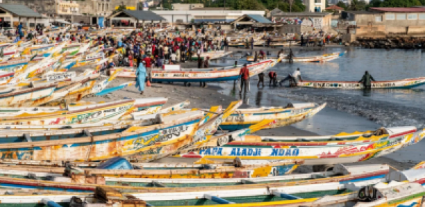 Espagne : Un réseau de vente de moteurs de pirogue volés démantelé