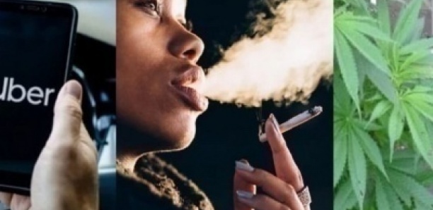 Canada: Uber lance un nouveau service pour livrer du cannabis aux clients
