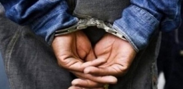 Détention de faux billets de banque et trafic de drogue : Ndoye arrêté avec du chanvre indien et un faux billet de 10 000 FCFA