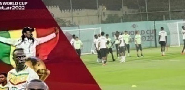 Galop des Lions : Vivez l'ambiance dans la tanière en veille de match contre Qatar