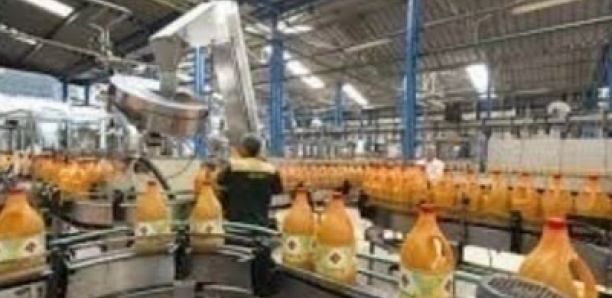 Oleosen : le directeur commercial et marketing arrêté par la Dic pour le détournement de 273 millions FCFA