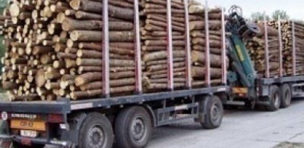 4 Guinéens arrêtés à Kédougou pour trafic de bois
