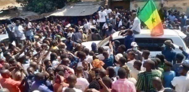 Locales 2022- Ousmane Sonko explose Vélingara avec une foule monstrueuse