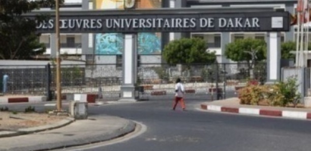 Quatre étudiants de l’Ucad arrêtés avec de la drogue