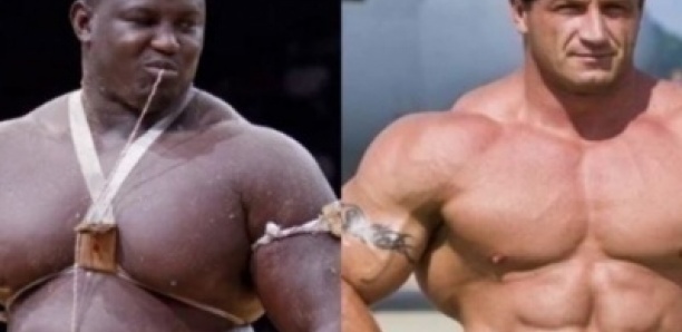Retour en MMA : Bombardier va défier Mariusz Pudzianowski, 5 fois homme le plus fort au monde